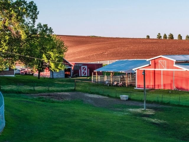 Donald Family Farm